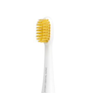Dental sonic Replaceable toothbrush head